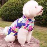 KUTKUT Waterproof and Warm Padded Zipper Winter Jackets for Dogs and Cats - kutkutstyle